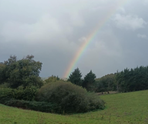 Lire la suite à propos de l’article Nouveaux lieux et nouvelles dates pour les formations en kinésiologie en 2026