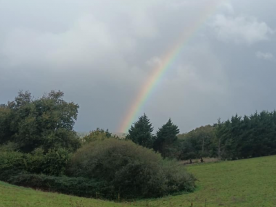 Nouveaux lieux et nouvelles dates pour les formations en kinésiologie en 2026